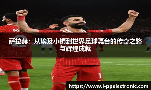 pp电子官网
